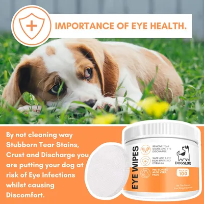 Secondary Images for DOGSLIFE INF PET 8