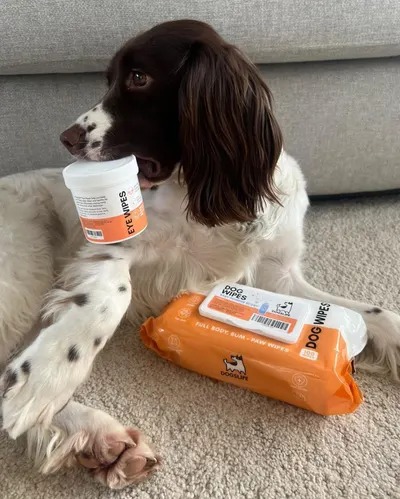 Lifestyle Images for DOGSLIFE LIF PET 1
