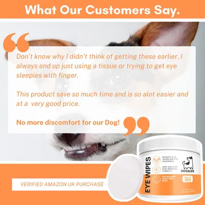 Review Images for DOGSLIFE PR PET 1