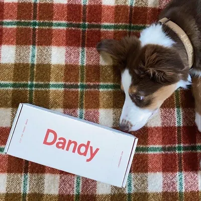 Secondary Images for Dandy 17