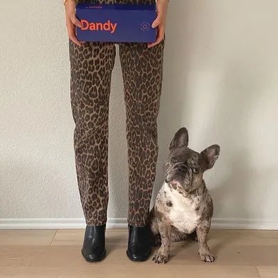 Secondary Images for Dandy 18