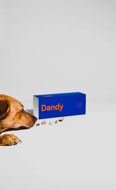 Secondary Images for Dandy 1
