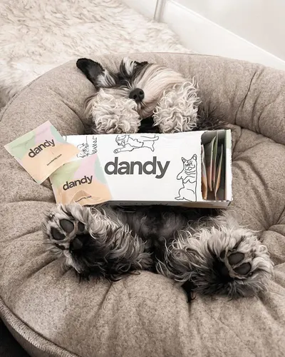 Secondary Images for Dandy 3