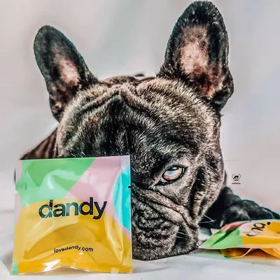 Lifestyle Images for Dandy 4