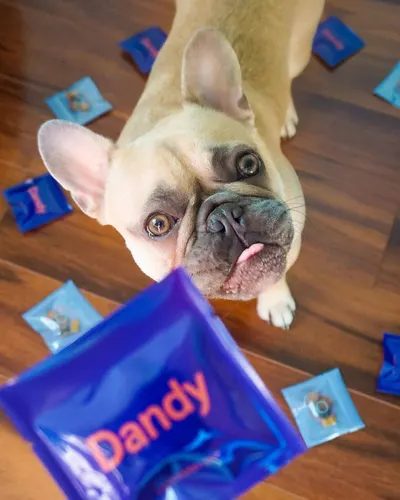 Lifestyle Images for Dandy 5