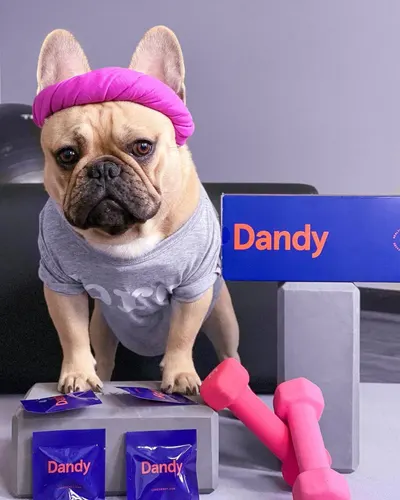 Secondary Images for Dandy 9
