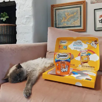UGC Images for Dreamies 10