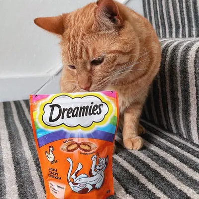 UGC Images for Dreamies 3