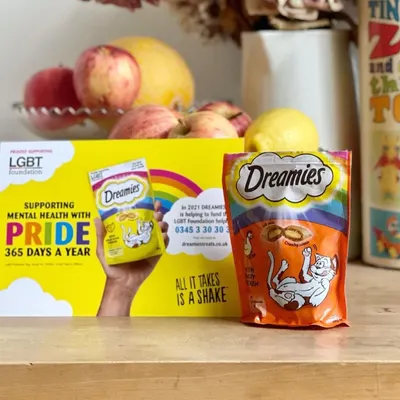 Lifestyle Images for Dreamies 6