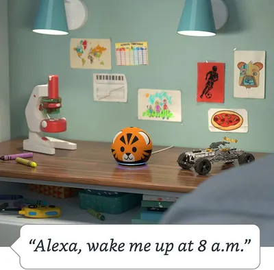 Secondary Images for ECHO DOT INF TG 5