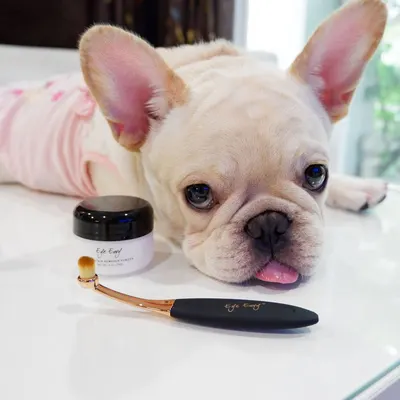 Lifestyle Images for EYE ENVY LIF PET 1