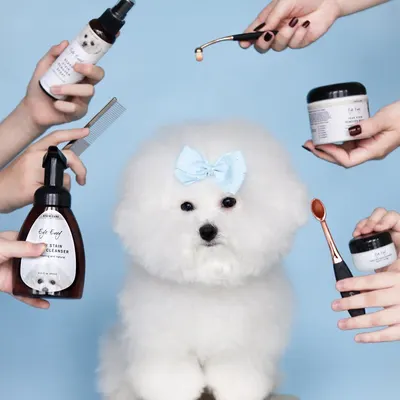 Lifestyle Images for EYE ENVY LIF PET 3