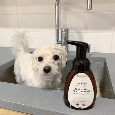Lifestyle Images for EYE ENVY LIF PET 5
