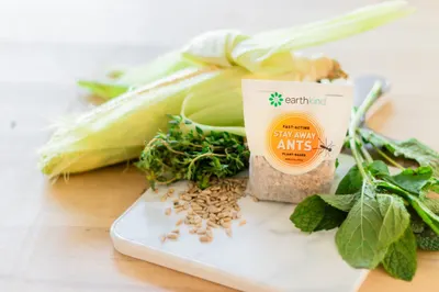 Lifestyle Images for EarthKind 7