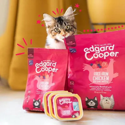 Lifestyle Images for Edgard and Cooper 14