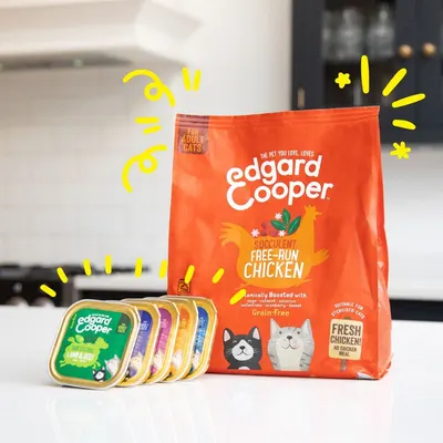 Lifestyle Images for Edgard and Cooper 16