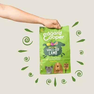 Lifestyle Images for Edgard and Cooper 1