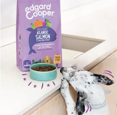 Lifestyle Images for Edgard and Cooper 5