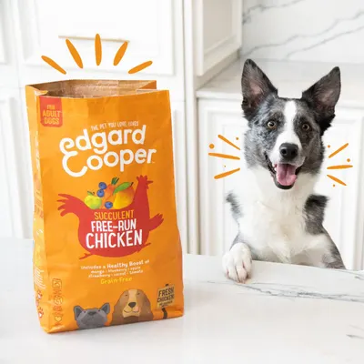 Lifestyle Images for Edgard and Cooper 9