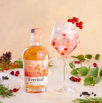 Lifestyle Images for Everleaf 10