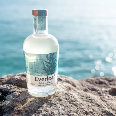 Lifestyle Images for Everleaf 25