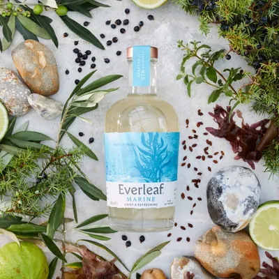 Lifestyle Images for Everleaf 3