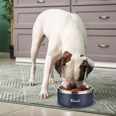 Lifestyle Images for FELIXMUC LIF PET 1