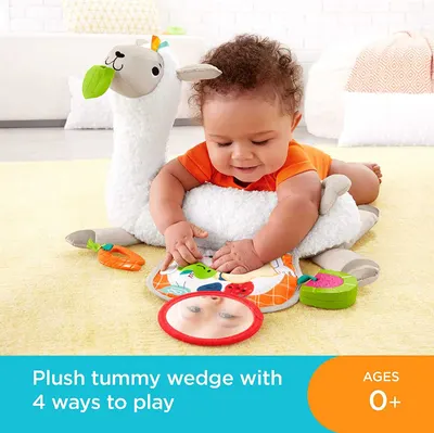 Secondary Images for FISHER-PRICE INF TG 2