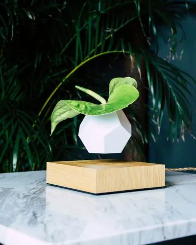 Lifestyle Images for FLYTE 10