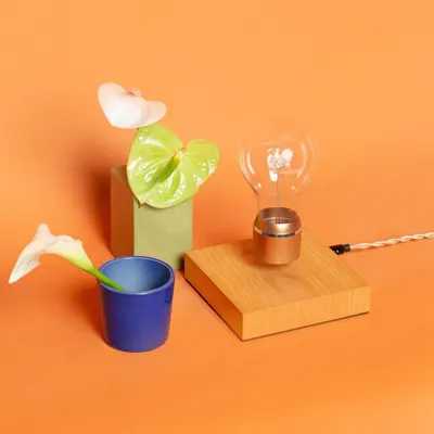 Secondary Images for FLYTE 18