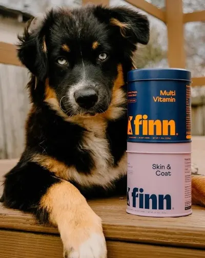 Lifestyle Images for Finn 14