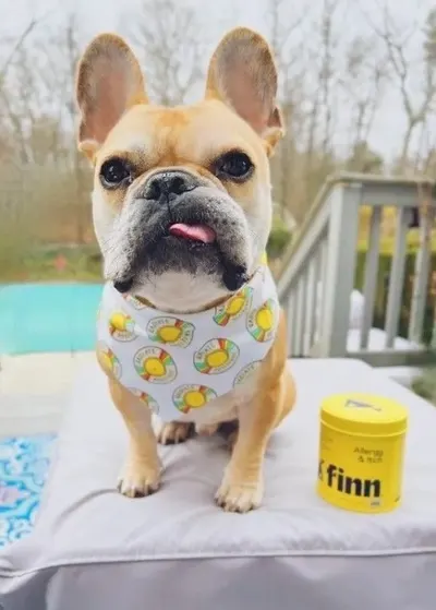 Lifestyle Images for Finn 15
