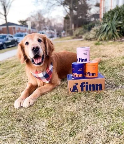 Lifestyle Images for Finn 16