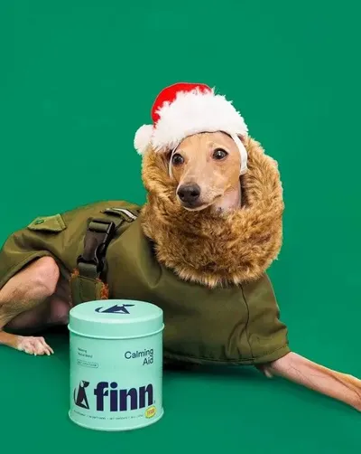 Secondary Images for Finn 19