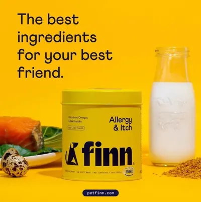 Secondary Images for Finn 1