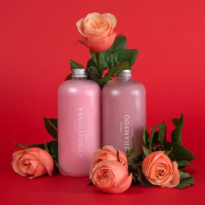 Secondary Images for Function Of Beauty 17