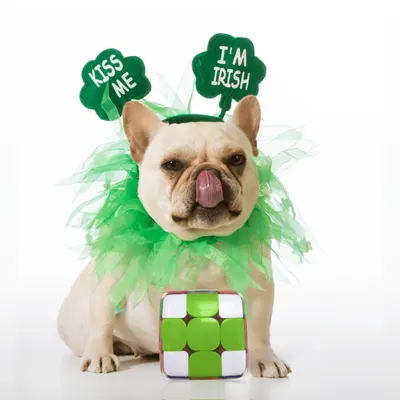 Lifestyle Images for GOCUBE LIF TG 3