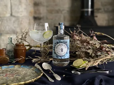 Basic A+ Content for Gloriette Gin 1