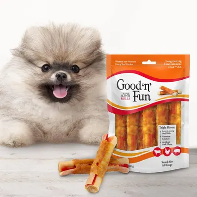 Lifestyle Images for Good n Fun 11