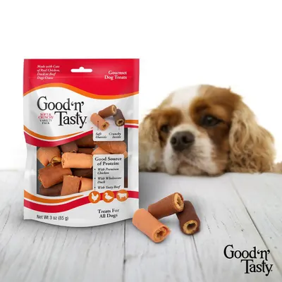 Lifestyle Images for Good n Fun 15