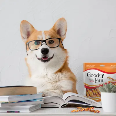 Lifestyle Images for Good n Fun 5