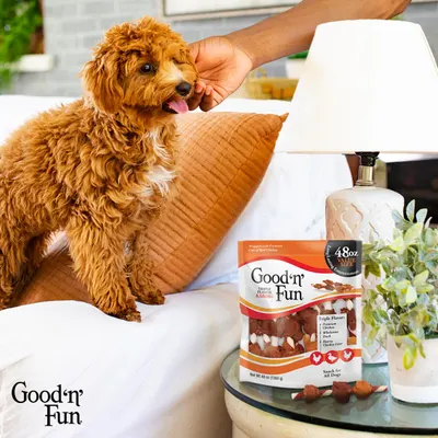 Lifestyle Images for Good n Fun 8