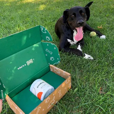Lifestyle Images for Goodboy 12