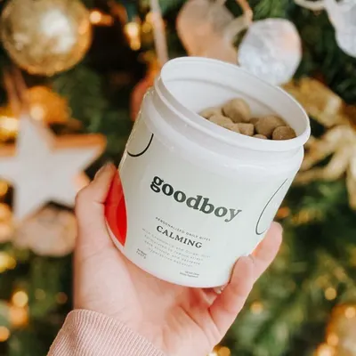Lifestyle Images for Goodboy 15