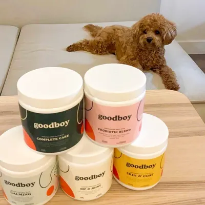 Lifestyle Images for Goodboy 17