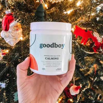 Lifestyle Images for Goodboy 19