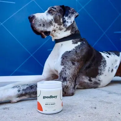 Lifestyle Images for Goodboy 23