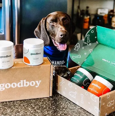 Lifestyle Images for Goodboy 26