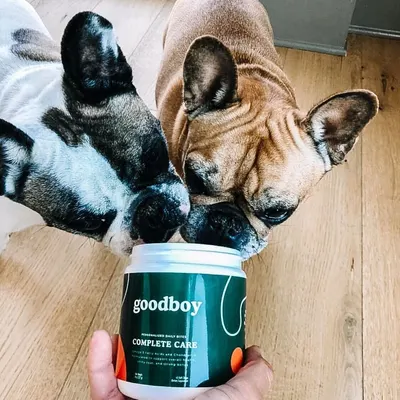 Lifestyle Images for Goodboy 28