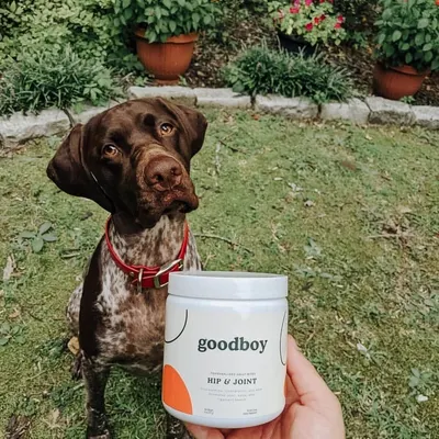 Lifestyle Images for Goodboy 29
